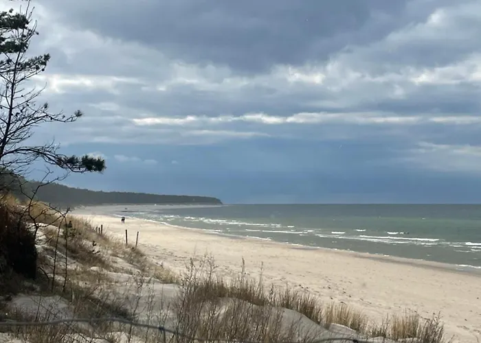 Wakacyjny W Grzybowie *